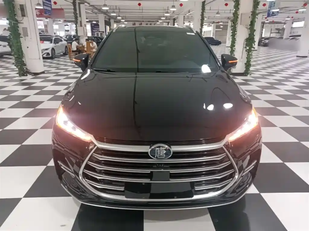 BYD Tang New Energy 2023 Model DM-i Champion Edition 112KM Honor фото 3