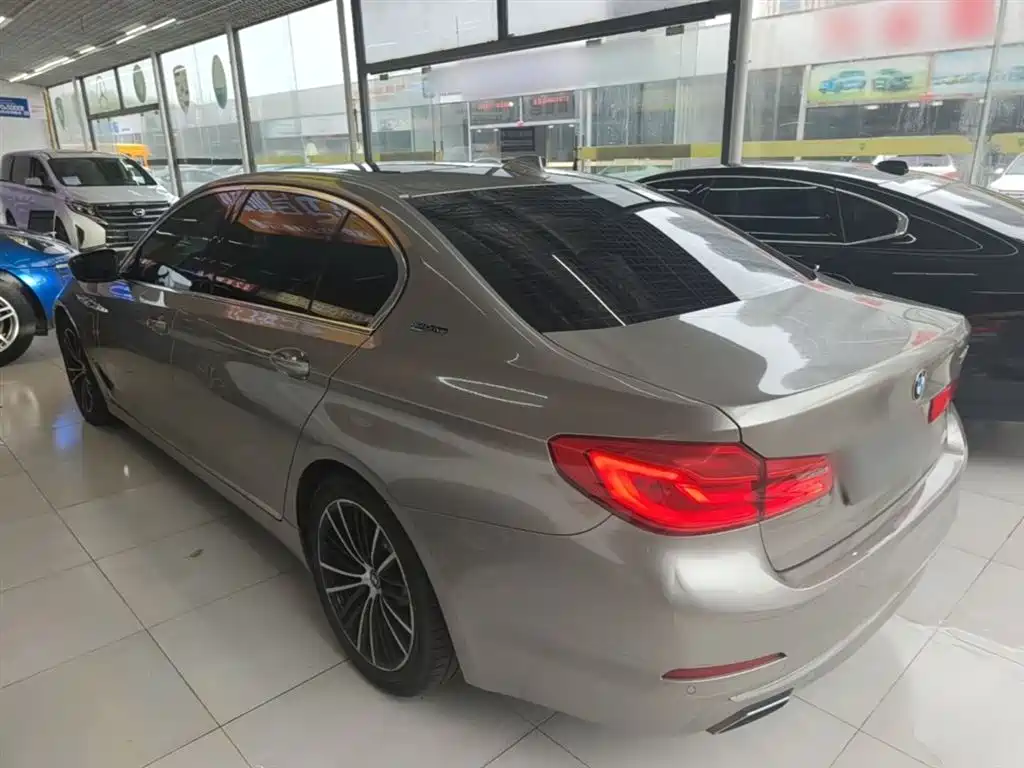 BMW 5 Series New Energy 2019 530Le Luxury Package фото 5