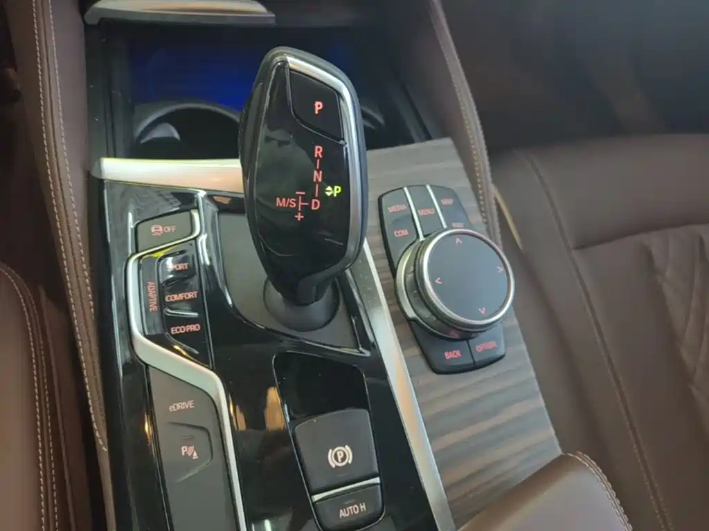 BMW 5 Series New Energy 2019 530Le Luxury Package фото 14