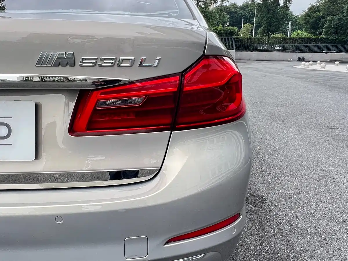 BMW 5 Series 2018 530Li Leading Luxury Package фото 24
