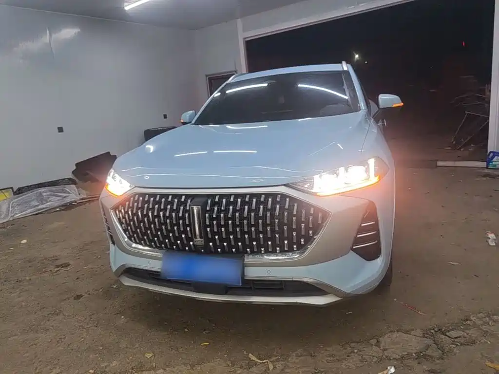 WEY Mocha 2021 2021 2.0T 4WD Premium Edition