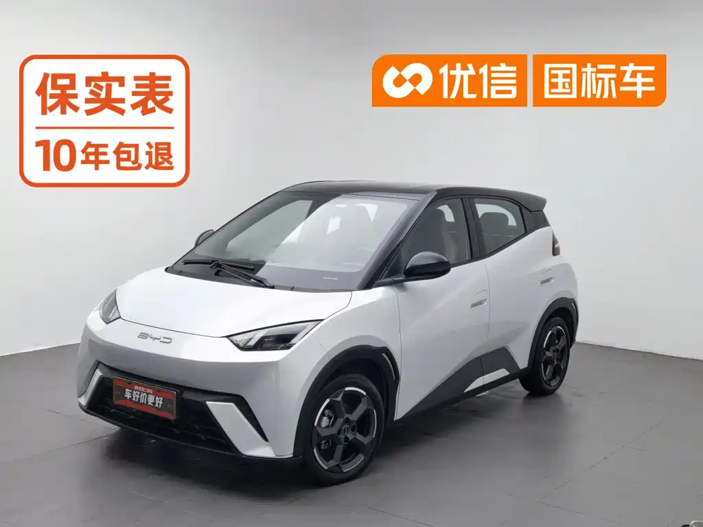 BYD Seagull 2023