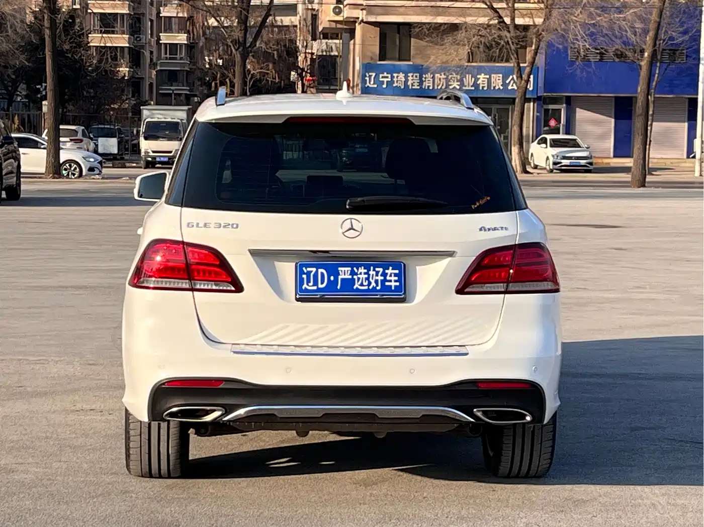 Mercedes-Benz GLE 2017 GLE 320 4MATIC Luxury фото 5