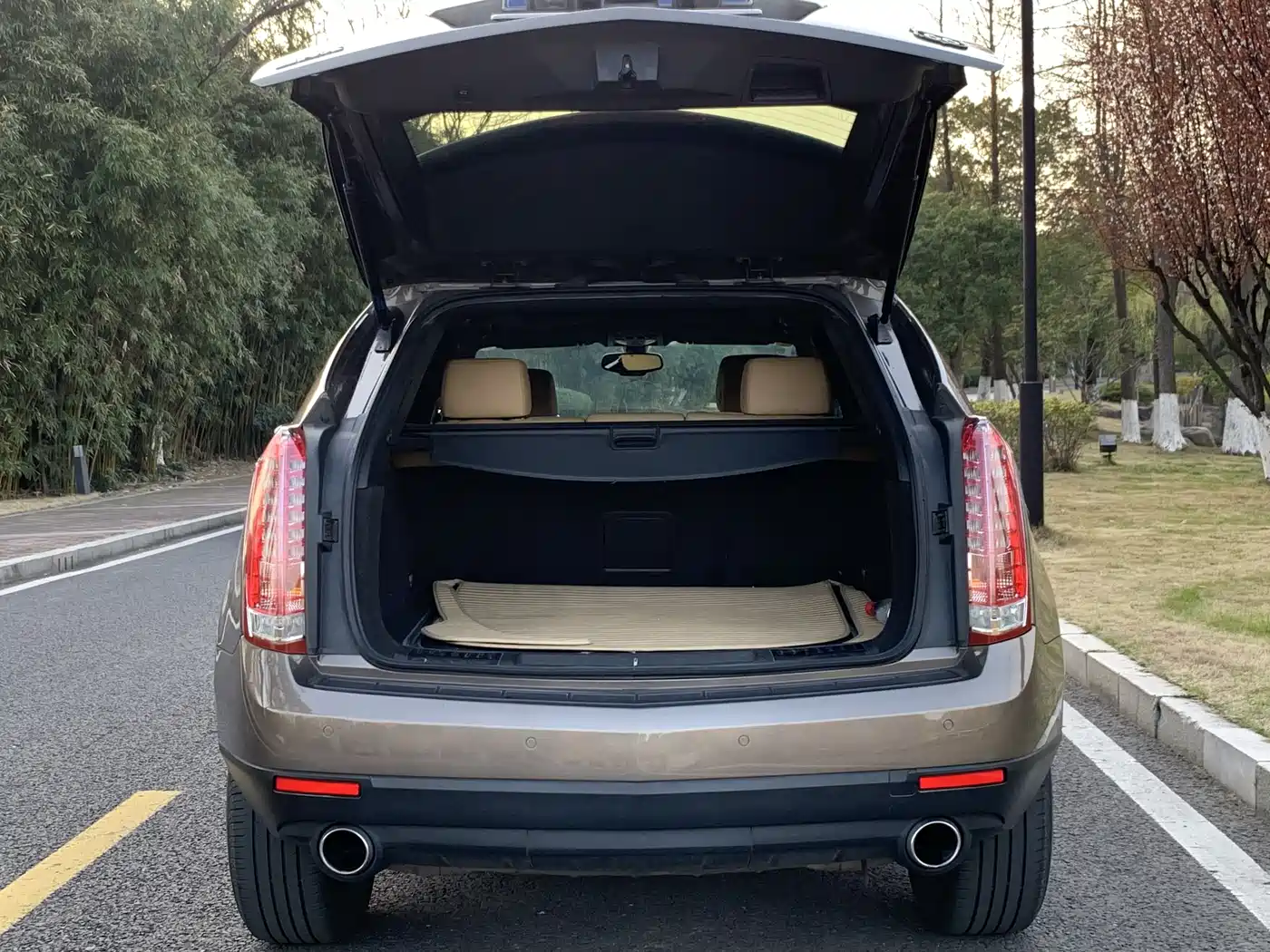 Cadillac SRX 2015 3.0L Elite фото 23