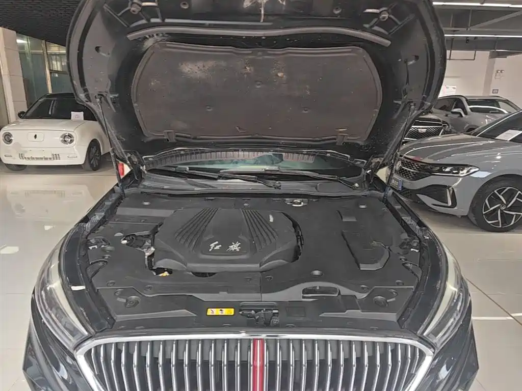 Hongqi H5 2019 30TD Style Edition фото 20