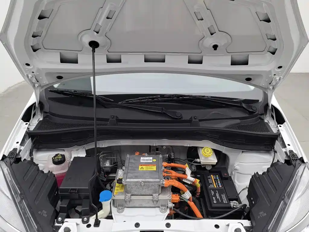 Roewe Kaiwei CLEVER 2023 2022 311km Vitality Bobo Edition