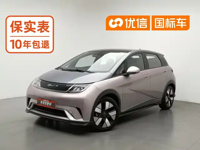 BYD Dolphin 2023 401km Knight Edition — фото 1