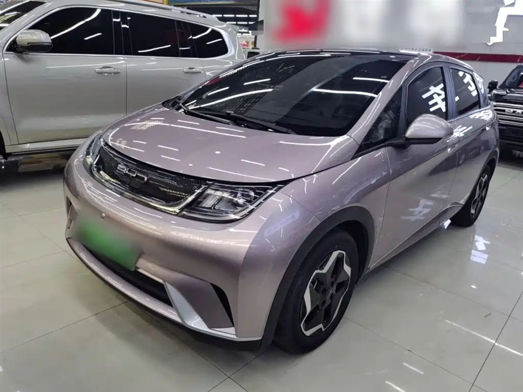 BYD Dolphin 2021 Model 405km Fashion Edition фото 2