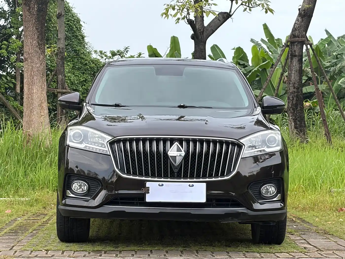 Borgward BX7 2019 2018 28T 2WD Luxury 5-Seater China V
