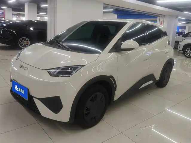 BYD Seagull 2025