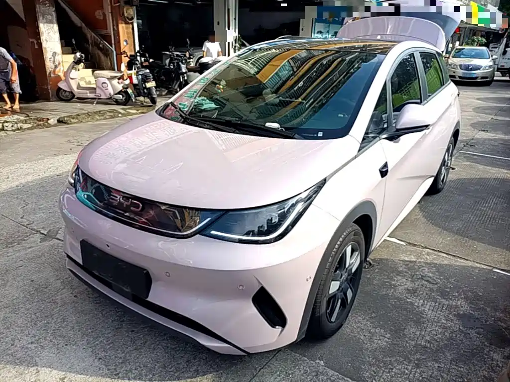 BYD Dolphin 2025