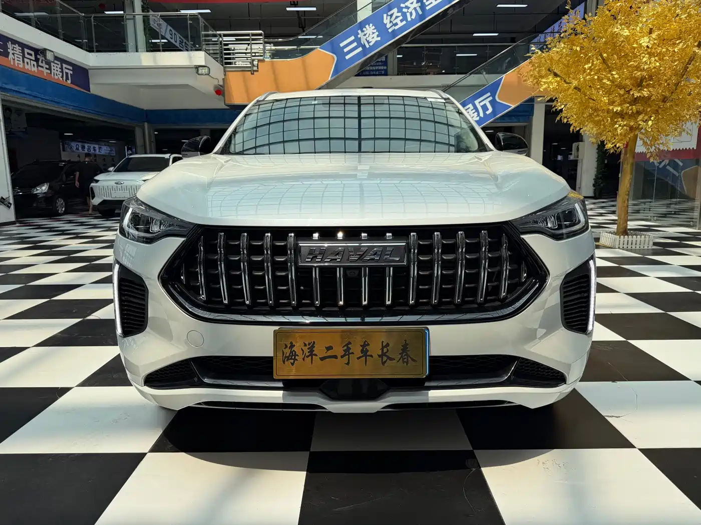 Haval Chitu 2023 2023 1.5T Excellence
