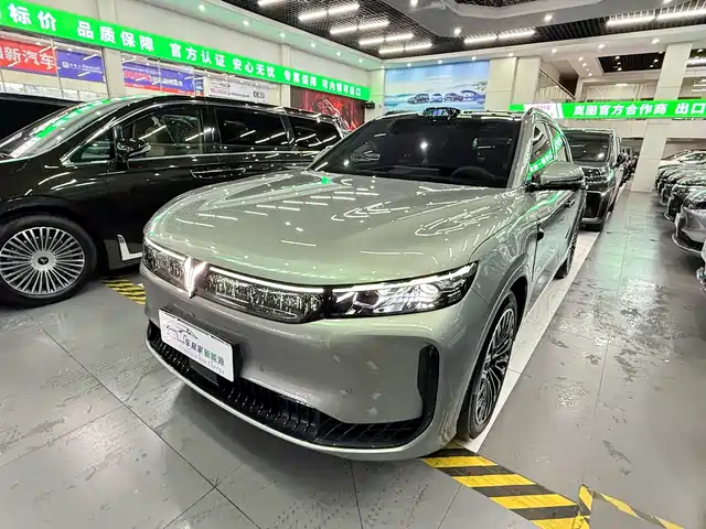 Voyah Auto VOYAH FREE 2025