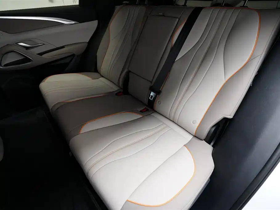 BYD Song Pro New Energy 2024 Glory Edition DM-i 71KM Pilot фото 13
