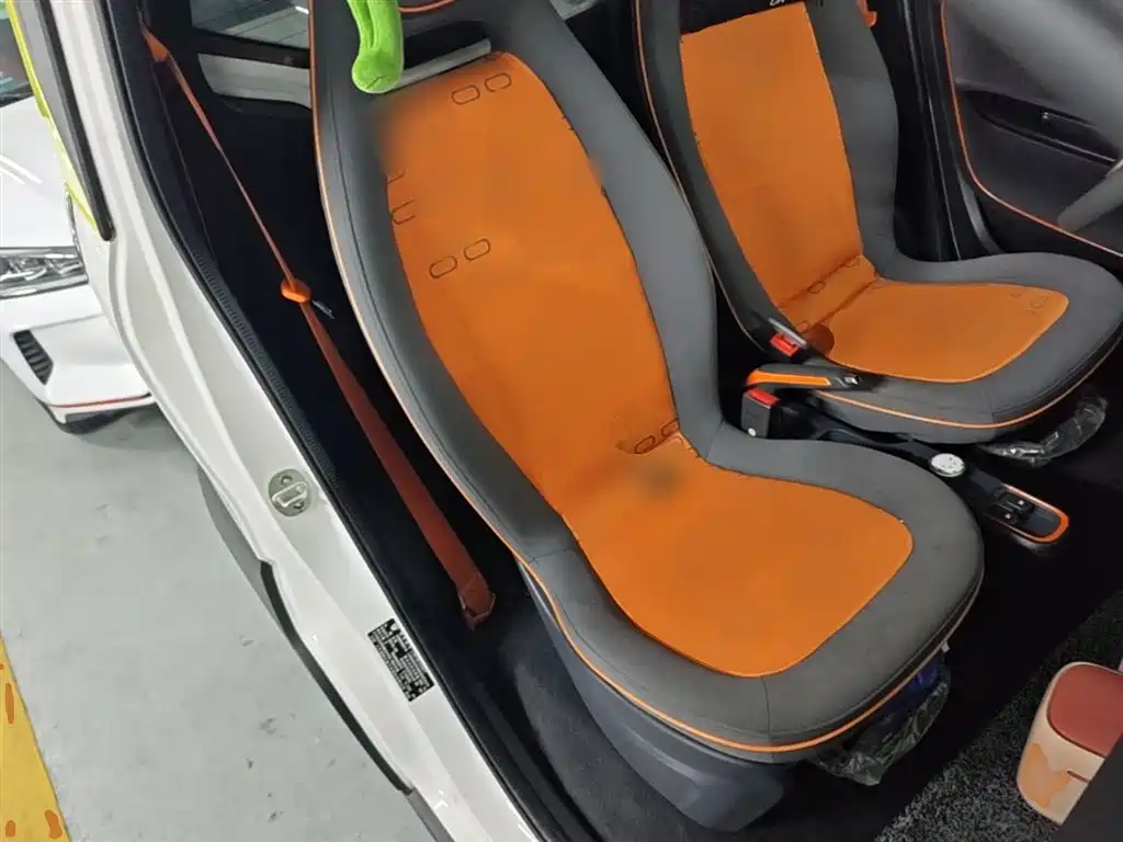 Baojun E100 2019 2019 250KM Smart Edition