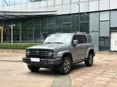 Tank 300