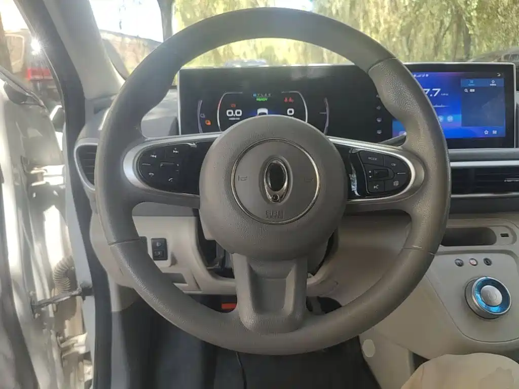 Ora White Cat 2021 2020 305km Luxury