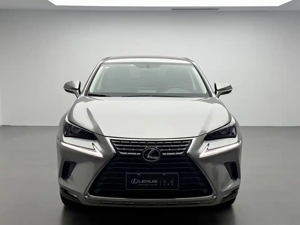 Lexus NX 2018 Model 200 FWD Fengxing Edition China V фото 2