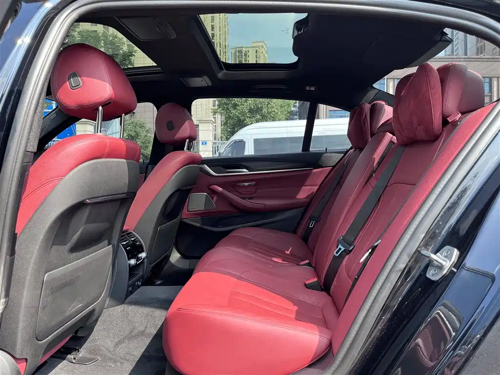 BMW 5 Series 2019 530Li Premium M Sport Package фото 5