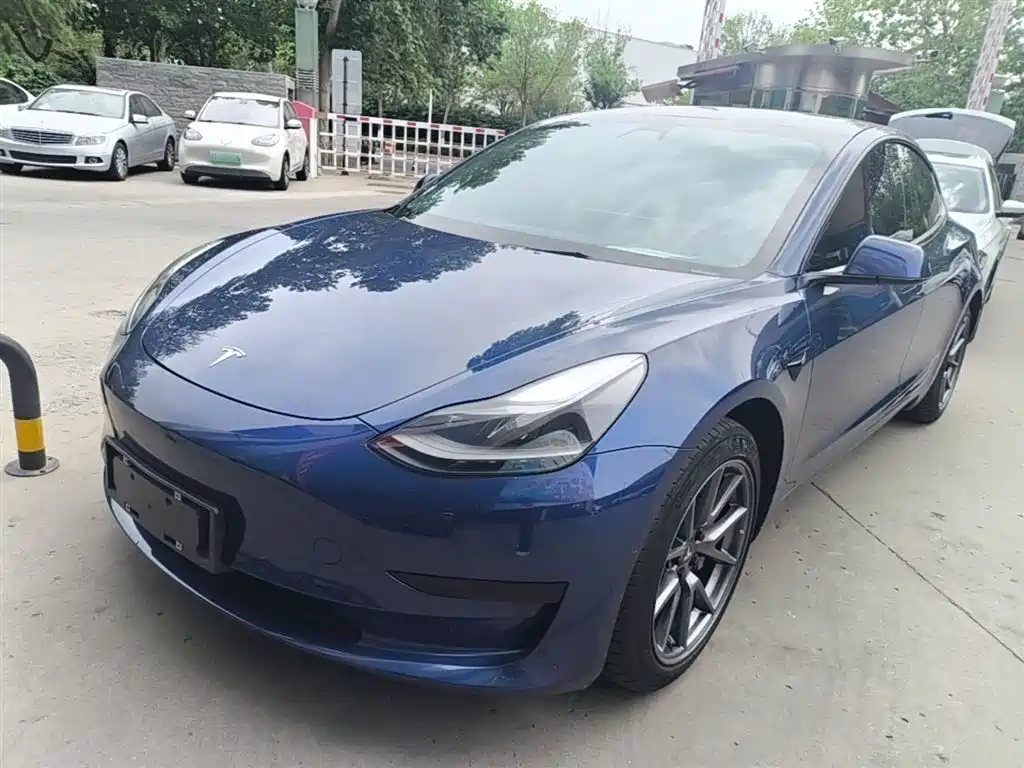 Tesla Model 3 2021 Standard Range Rear-Wheel Drive Upgrade 3D6