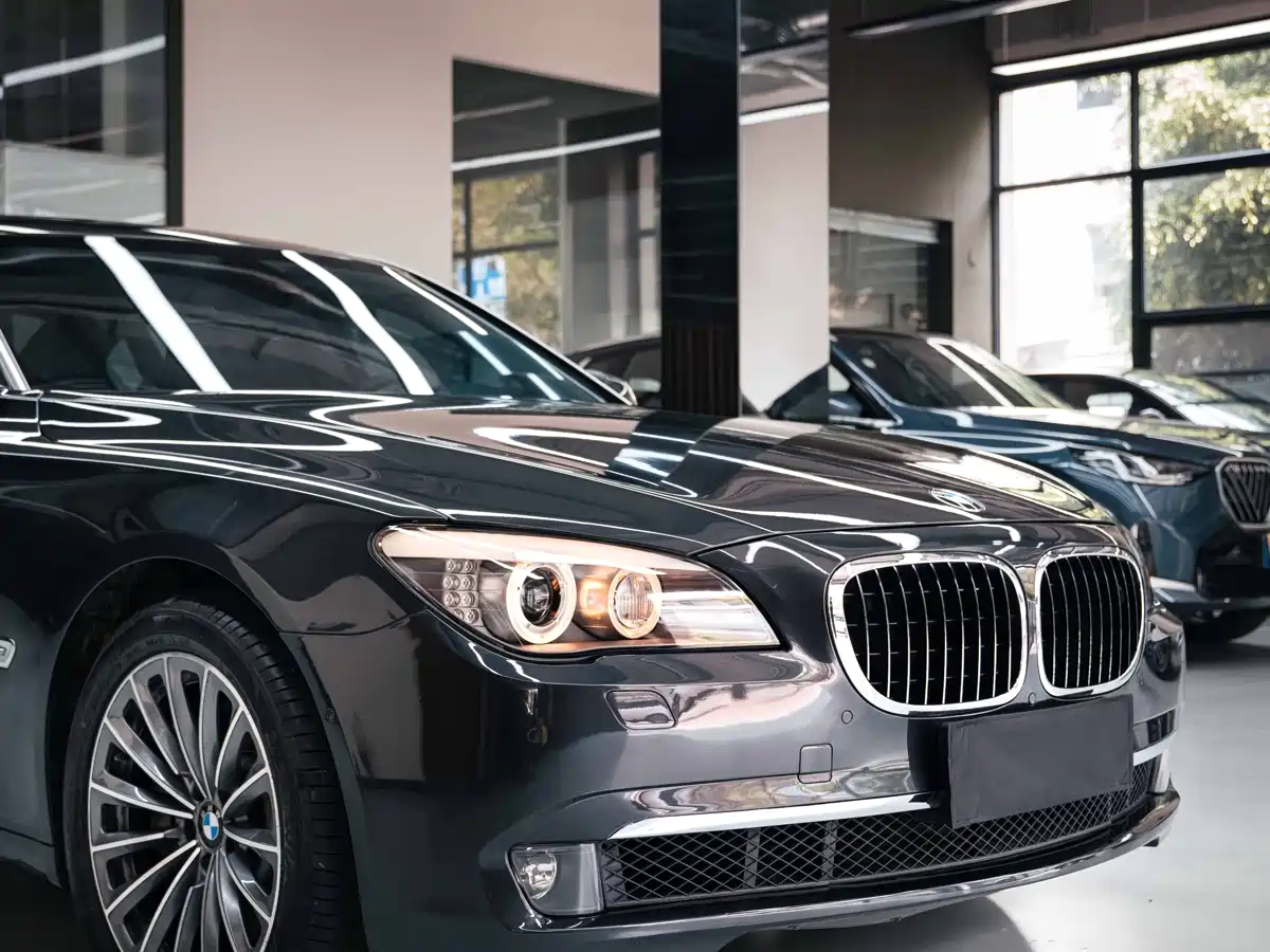 BMW 7 Series 2009 750Li Premium фото 7