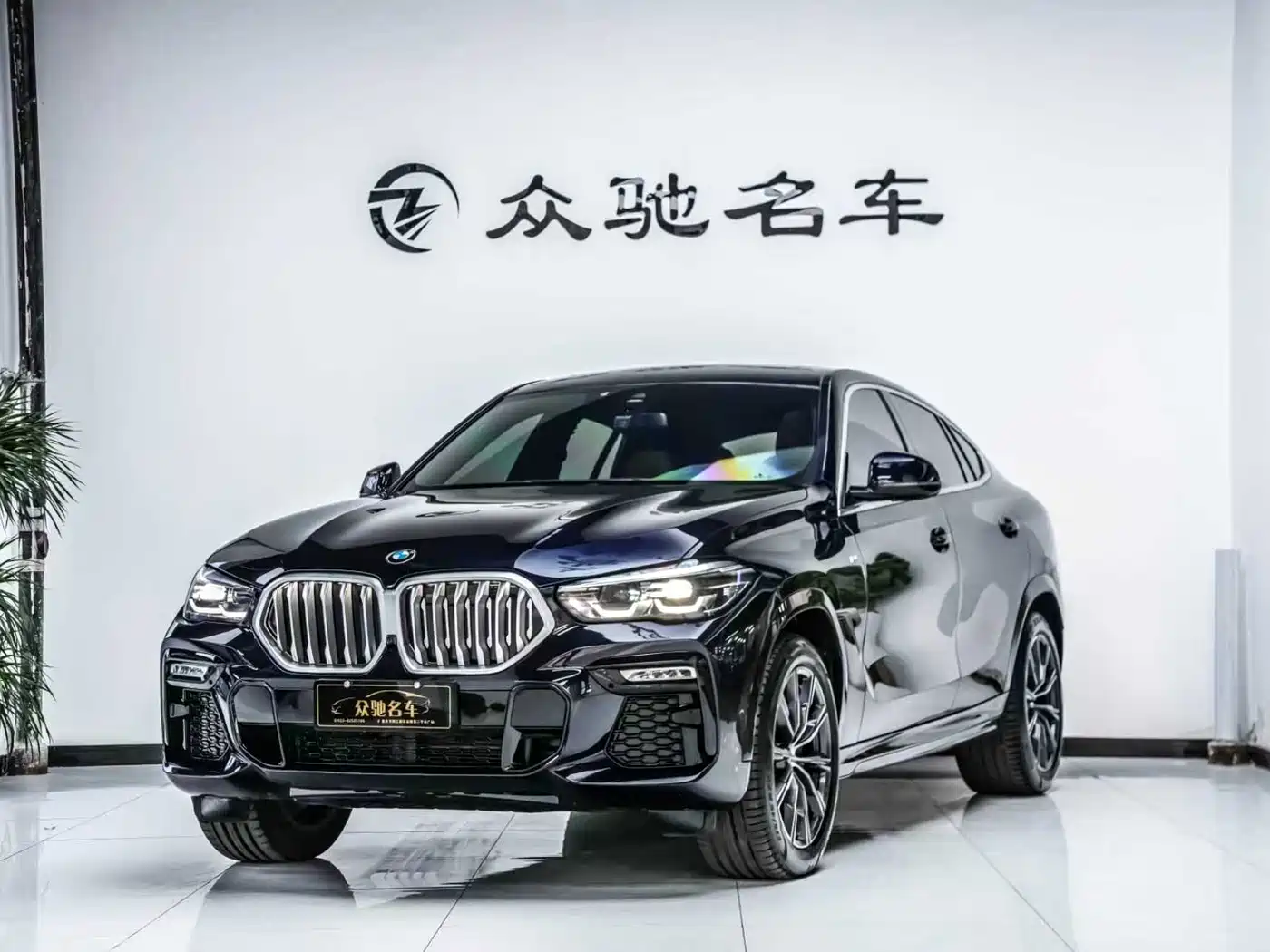 BMW X6 2021 xDrive30i M Sport Package