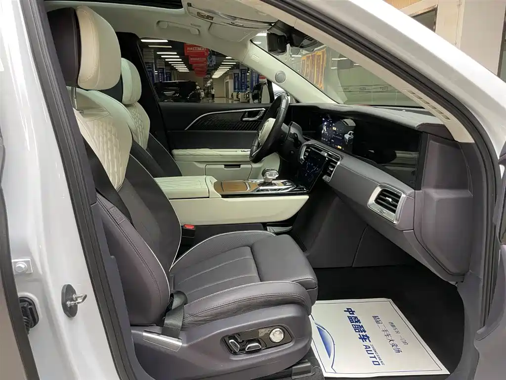 Hongqi E-HS9 2021 2021 510km Flagship Comfort 6-seater