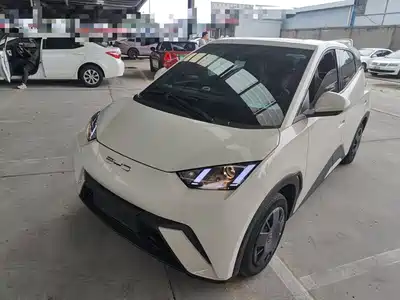 BYD Seagull