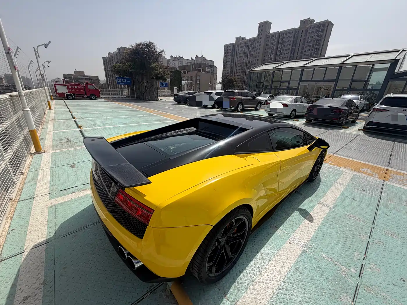 Lamborghini Gallardo 2011 Lamborghini Gallardo LP 560-4 Bicolore фото 5