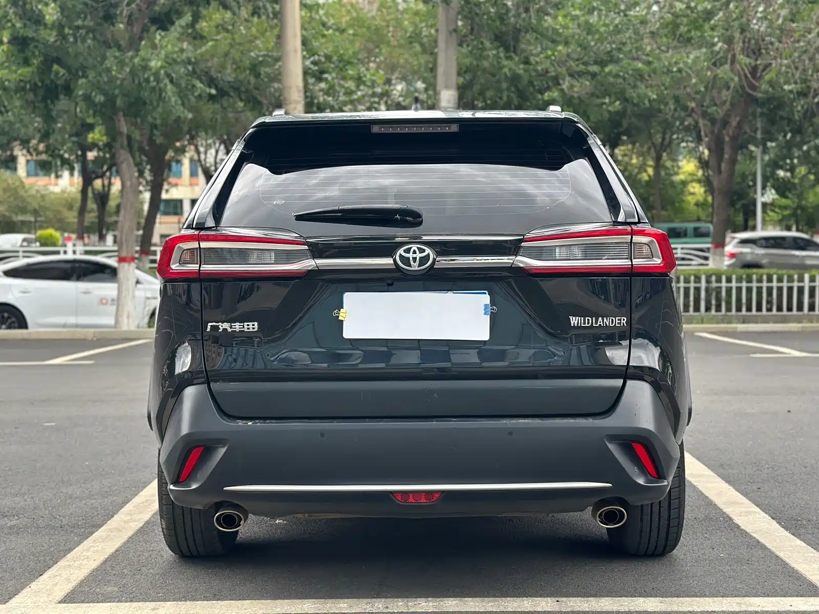 Фото 13 - Toyota Wildlander