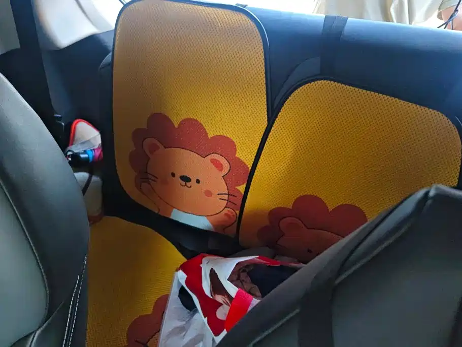Roewe Clever 2023 2022 311km Vitality Bobo Edition