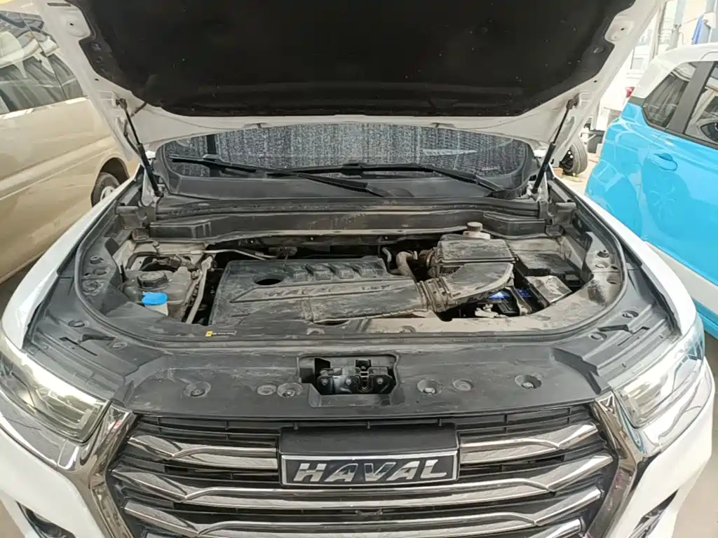 Фото 20 - Haval H6