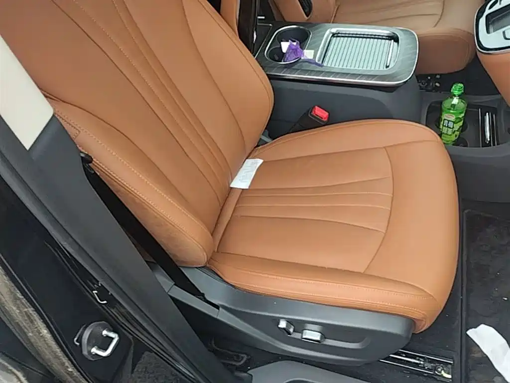 Hongqi HQ9 PHEV 2024 Model 2.0T AWD Business Edition фото 25