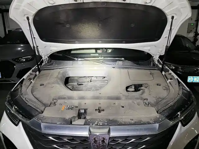 Roewe RX5 2020 PLUS 300TGI Automatic Ali New Year Special Edition — фото 3