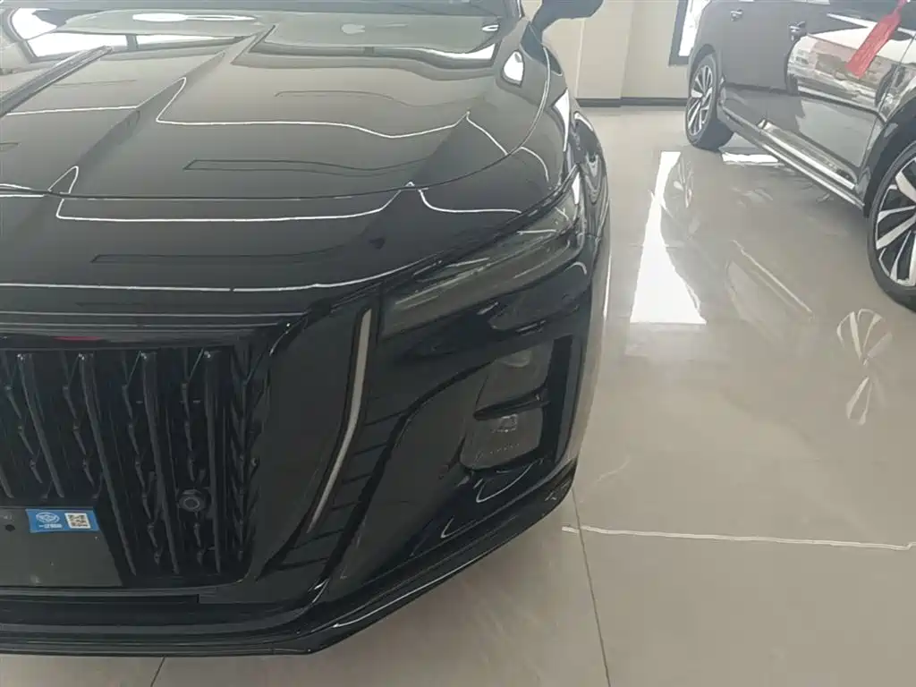 Hongqi H5 2025 2.0T Automatic Mystic Shadow 2 Million Edition фото 24