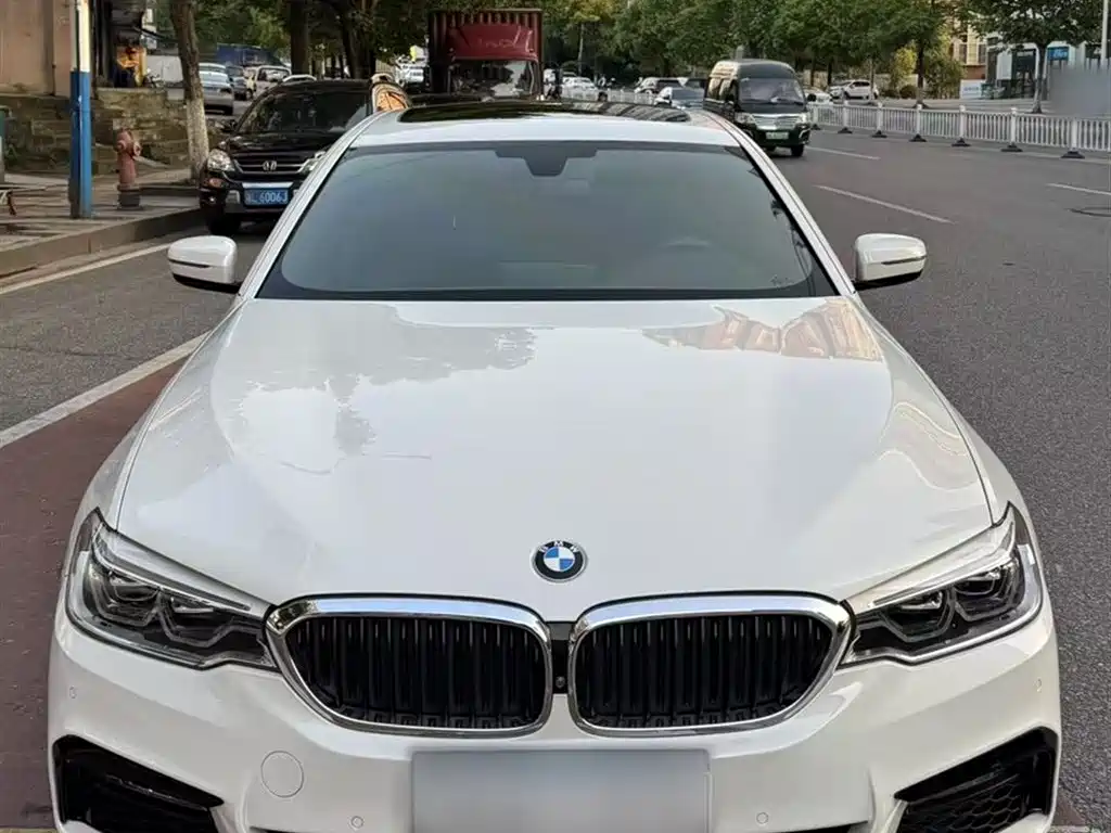 BMW 5 Series 2018 530Li Premium M Sport Package фото 5