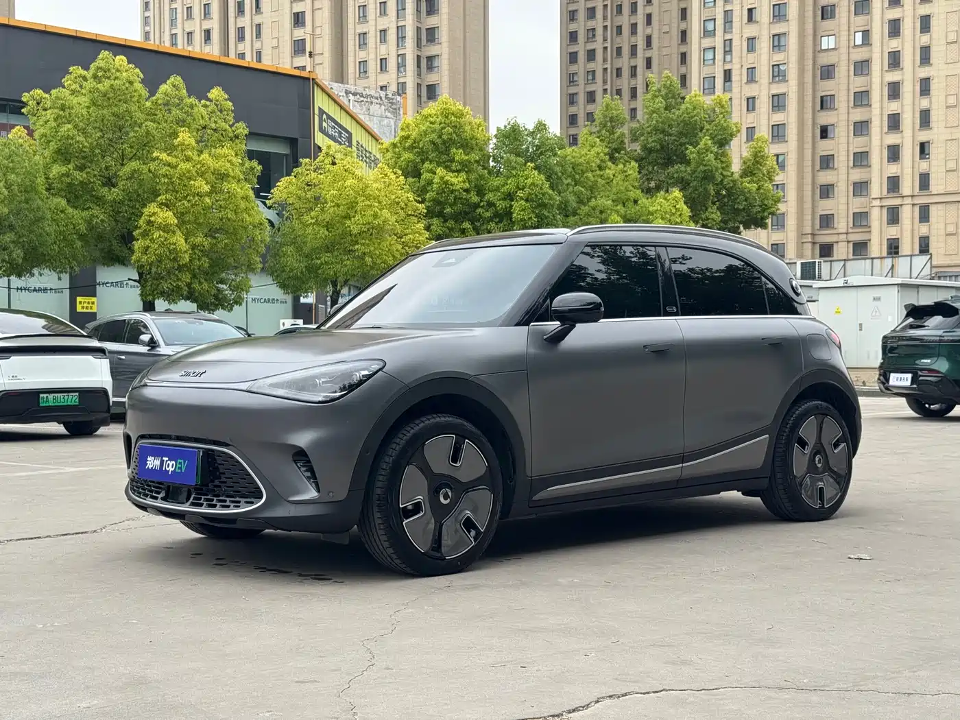 smart Elf #1 2022 Premium Edition