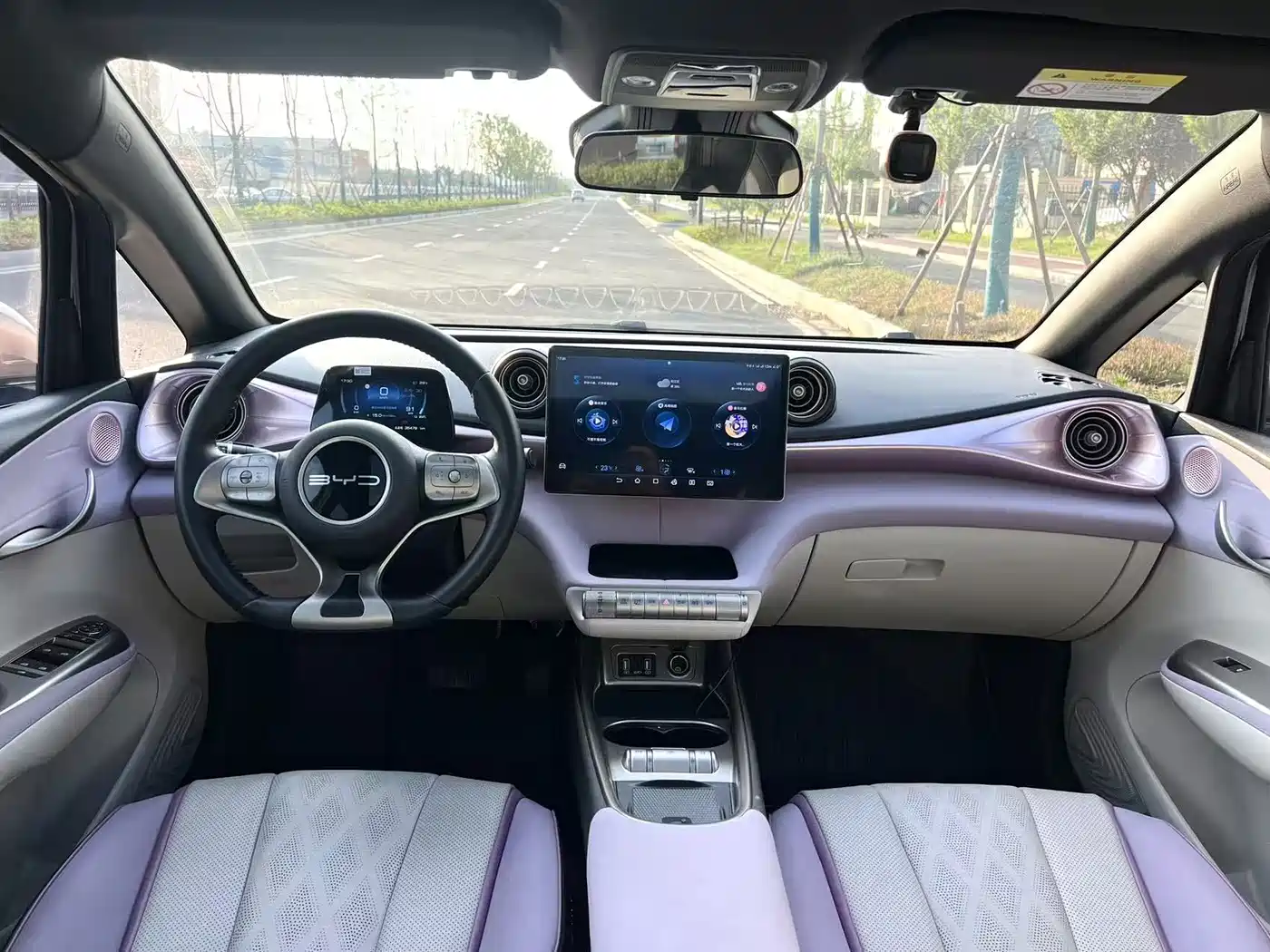 BYD Dolphin 2023 401km Knight Edition фото 12