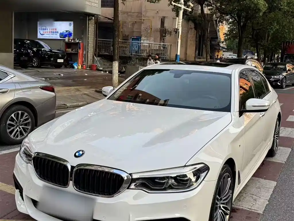 BMW 5 Series 2018 530Li Premium M Sport Package