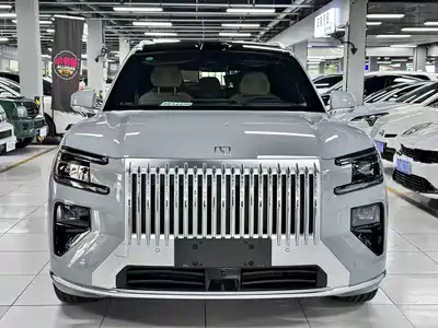 Zeekr 8X