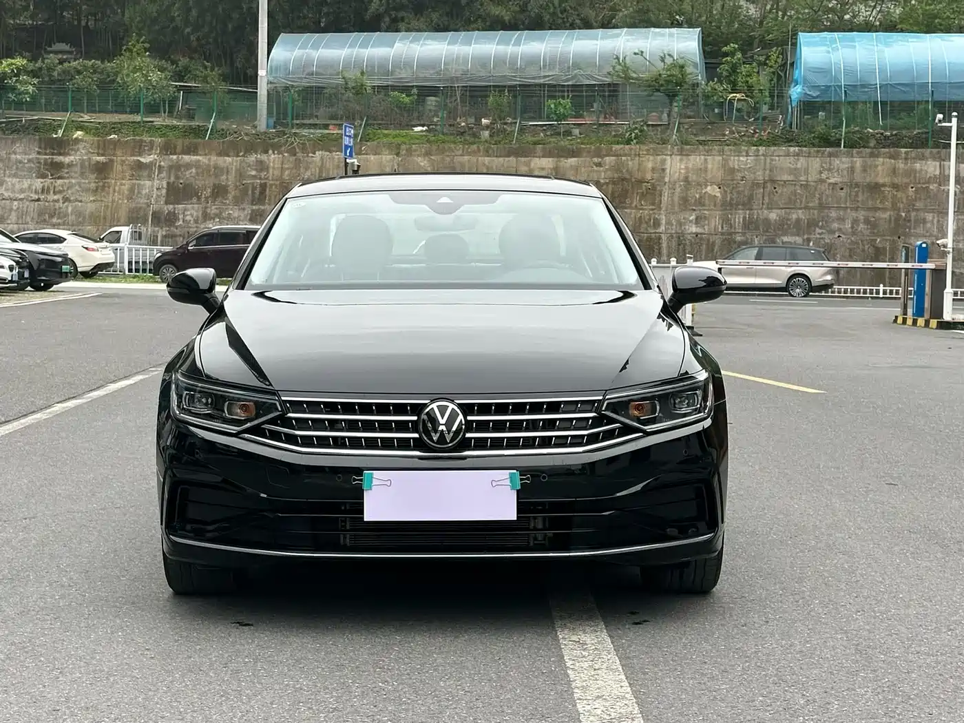 Volkswagen Magotan 2026 Model 30 Million Special Selection 380TSI DSG Luxury фото 2