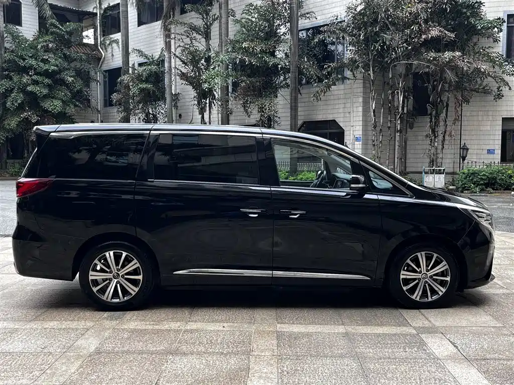 GAC Trumpchi Trumpchi M8 2018 320T Premium Edition фото 2