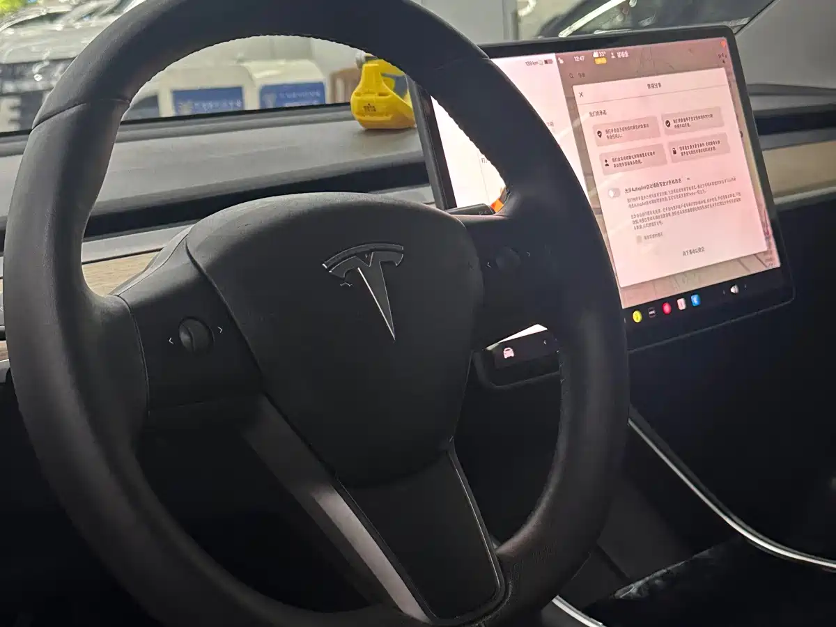Tesla Model 3 2020 2019 Standard Range Rear-Wheel Drive Upgrade