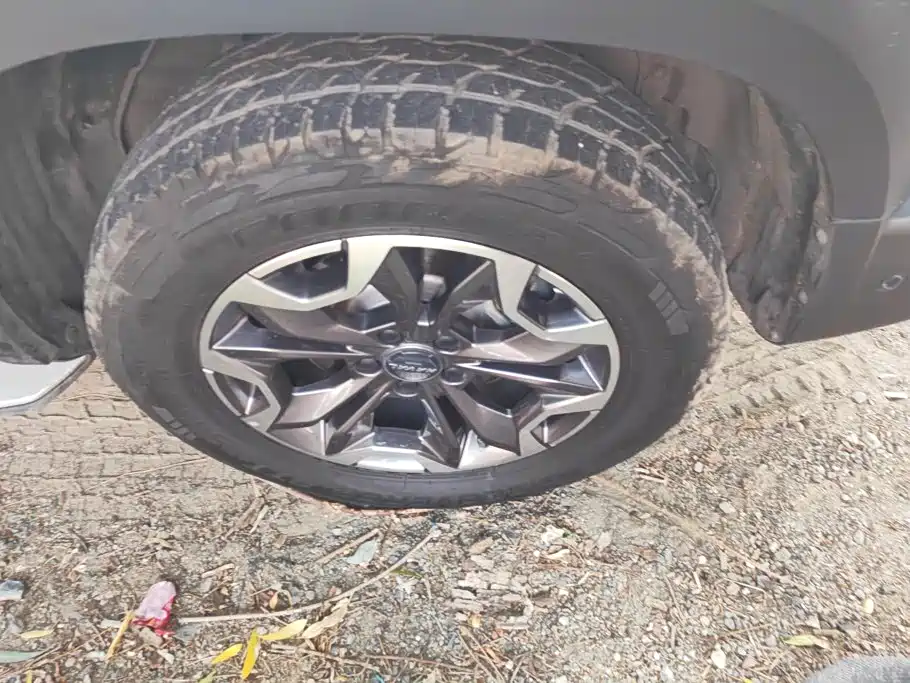 Фото 6 - Haval Dargo
