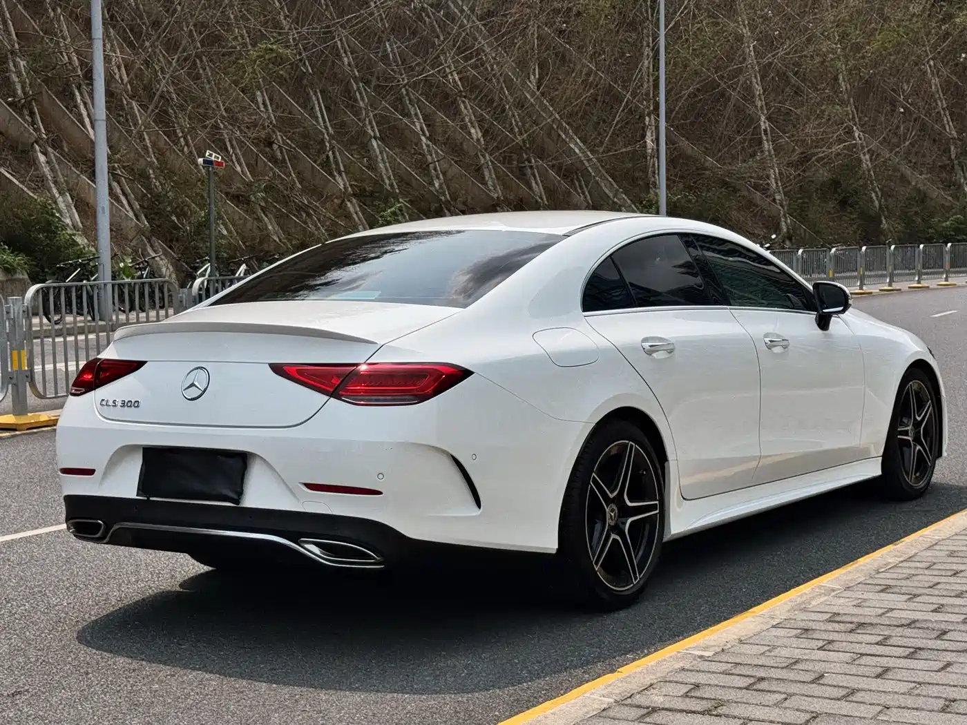 Mercedes-Benz CLS 2021 CLS 300 Luxury фото 15