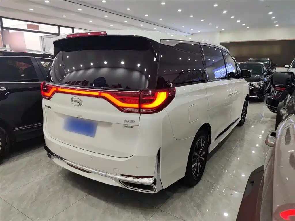 GAC Trumpchi Trumpchi M8 2021 Leading Show Series 390T Premium Edition фото 12