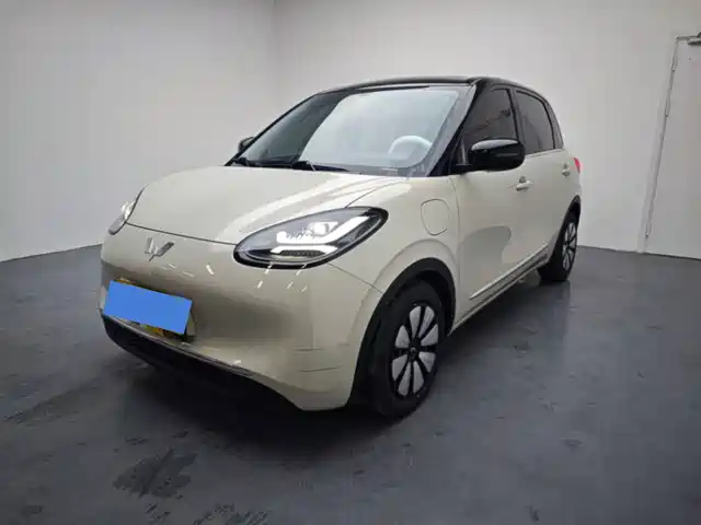 WULING WULING BINGGUO