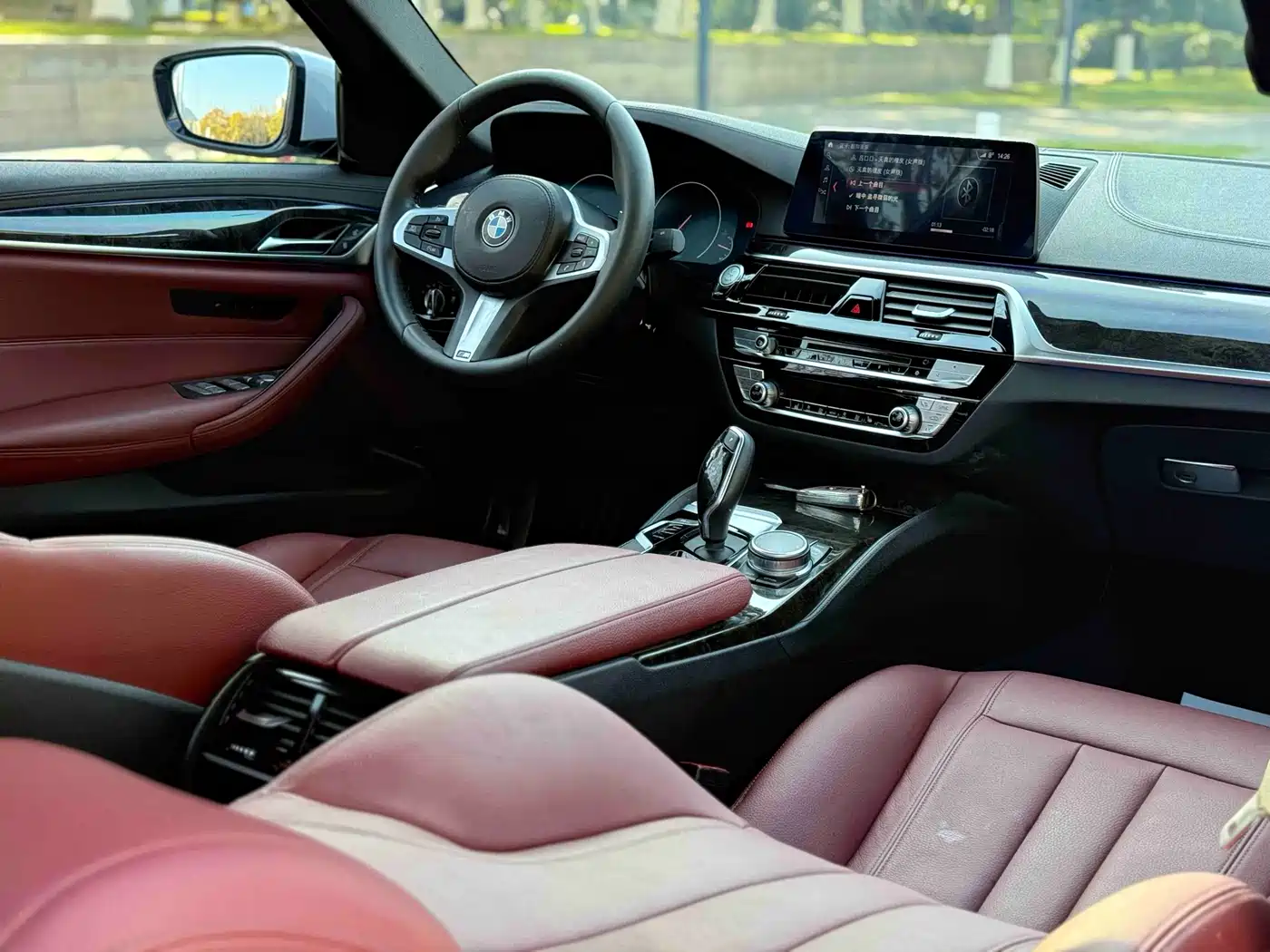 BMW 5 Series 2019 530Li Leading M Sport Package фото 6
