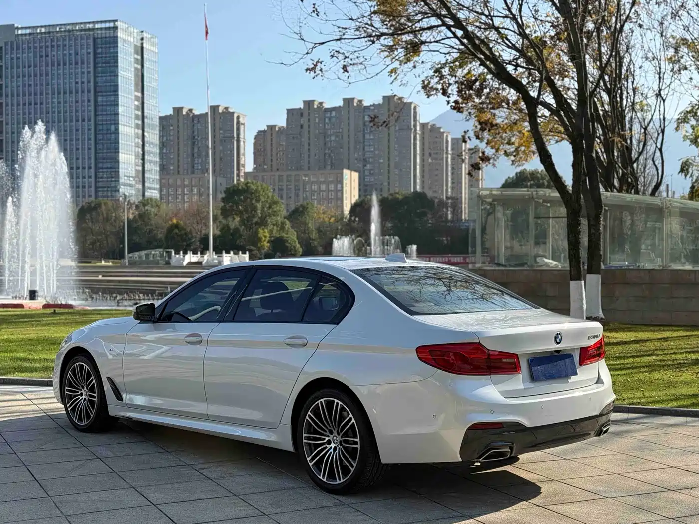 BMW 5 Series 2019 530Li Leading M Sport Package фото 15