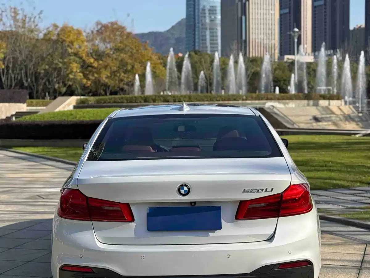 BMW 5 Series 2019 530Li Leading M Sport Package фото 14